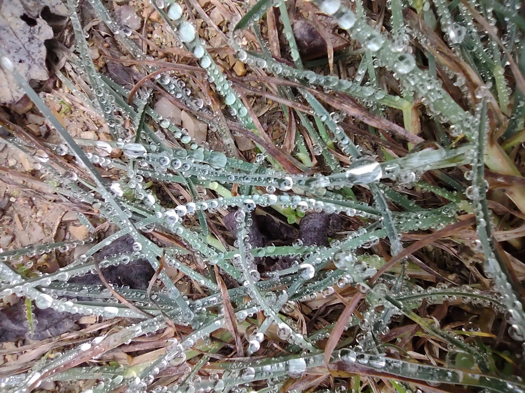 No s'ha trobat l'arxiu